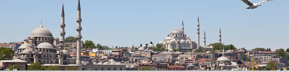 Ansprechpartner Istanbul